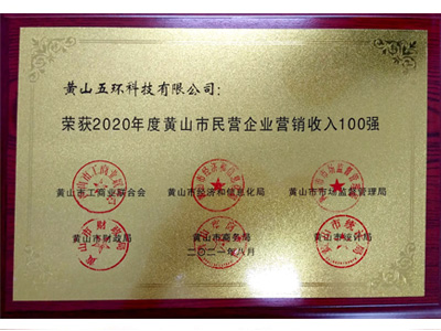 民營企業(yè)營銷收入100強